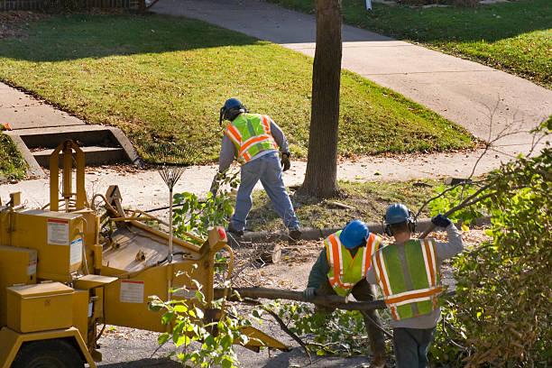 Best Weed Control Services  in Clarcona, FL